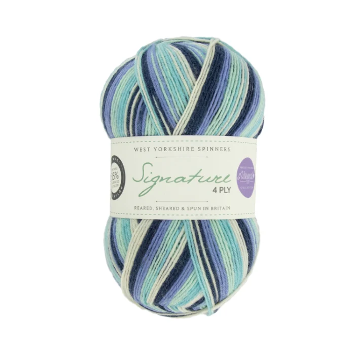 West Yorkshire Spinners Signature 4 Ply Winwick Mum - Image 12